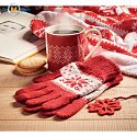 Winter gift mug and gloves set